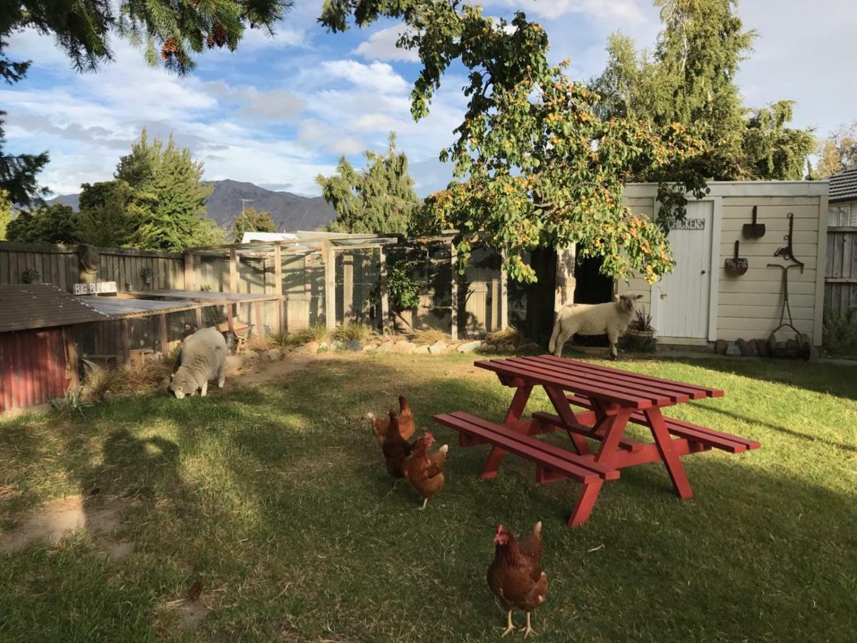 Tailor Made Tekapo Accommodation - Guesthouse & Hostel Lake Tekapo Buitenkant foto