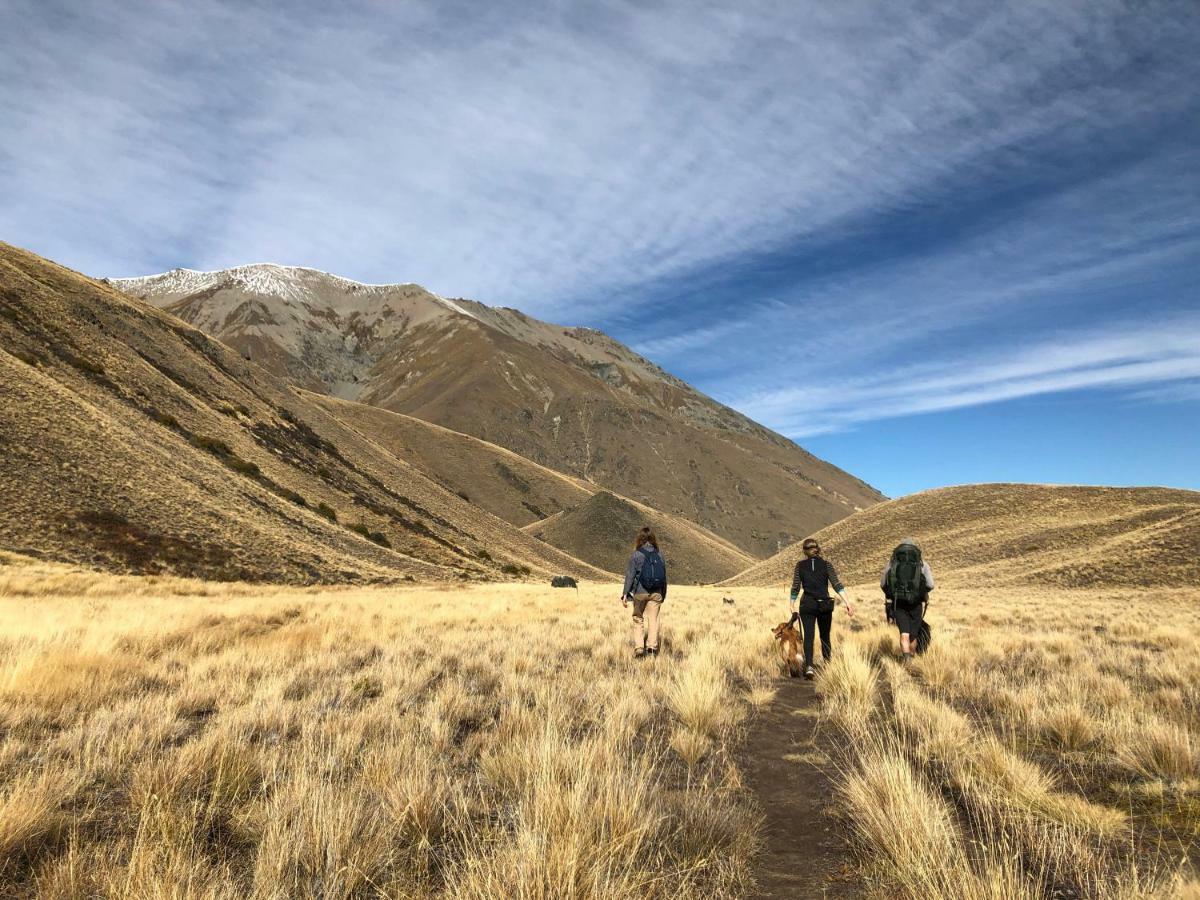 Tailor Made Tekapo Accommodation - Guesthouse & Hostel Lake Tekapo Buitenkant foto